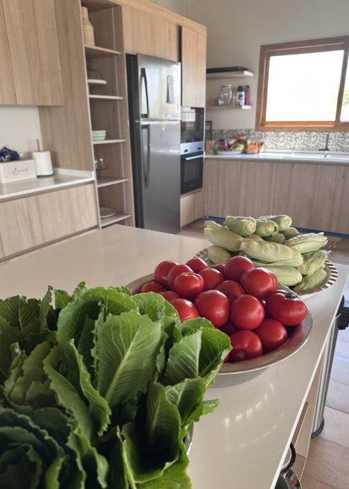 Vegetables at Sakina Kitchen