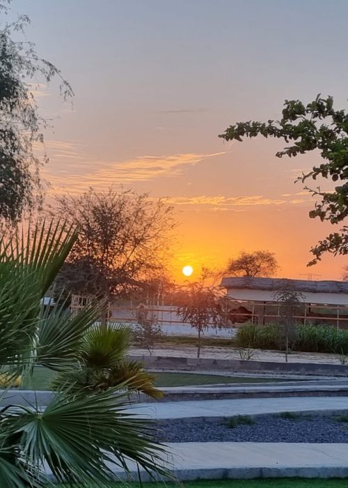 Sakina at Sunset